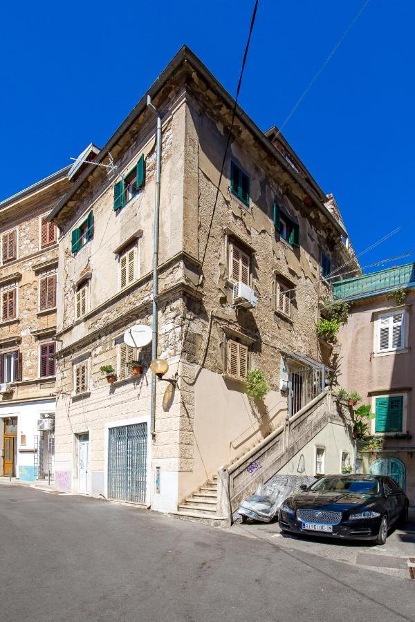 Apartment Grota In The Center